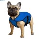 Aqua Coolkeeper Cooling Pet Jacket 