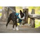 Ruffwear Front Range hondentuig 