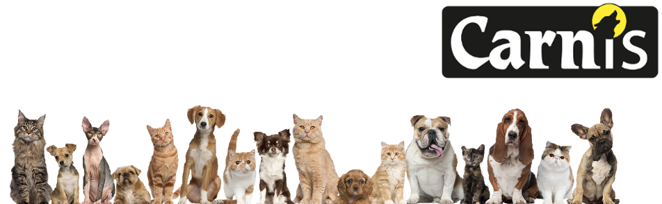 Carnis