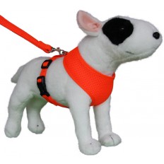 Round-loop Harness Mesh Fluo Orange 