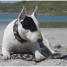 aqua coolmat camouflage