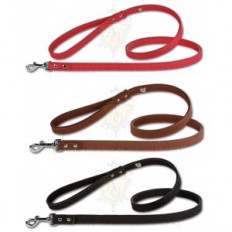 Artleather silverpaws riem