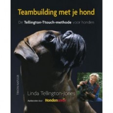 Teambuilding met je hond