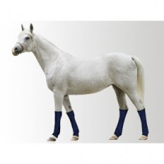 Aqua Coolkeeper Cooling been coolers