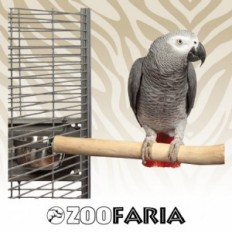 ZooFaria Java Enkel Perch zitstok