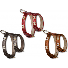 Artleather glitterbones hondentuig