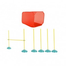 Outward Hound ZipZoom Agility Kit indoor