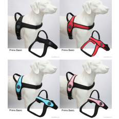 Tre ponti primo hondentuig