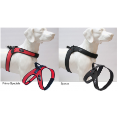 Tre ponti secondo sporza hondentuig