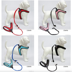 Tre ponti terzo liberta hondentuig