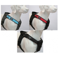 Tre ponti volta hondentuig