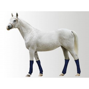 Aqua Coolkeeper Cooling been coolers