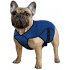 Aqua Coolkeeper verkoelende hondenjas