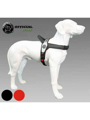 Tre ponti primo Carbon hondentuig carbon