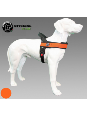 Tre ponti primo plus hondentuig oranje