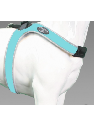 Tre Ponti secondo sporza blauw refl.