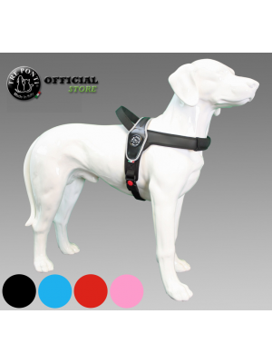 Tre ponti primo hondentuig Reflecterend