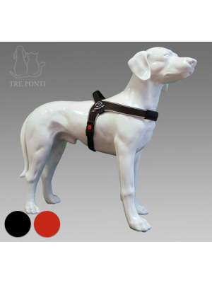 Tre ponti Vento hondentuig