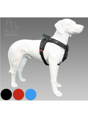 Tre pont Volta hondentuig