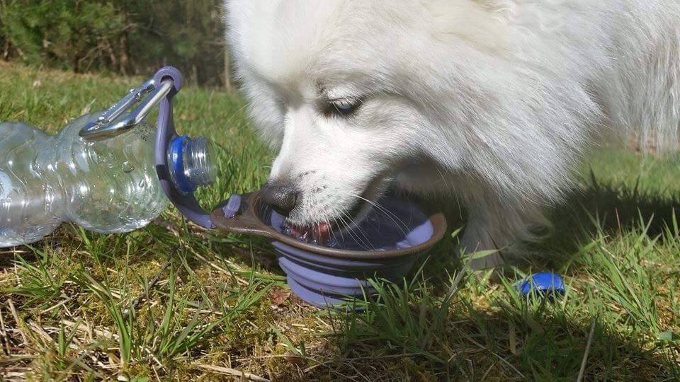 Popware travelcup met flessenhouder