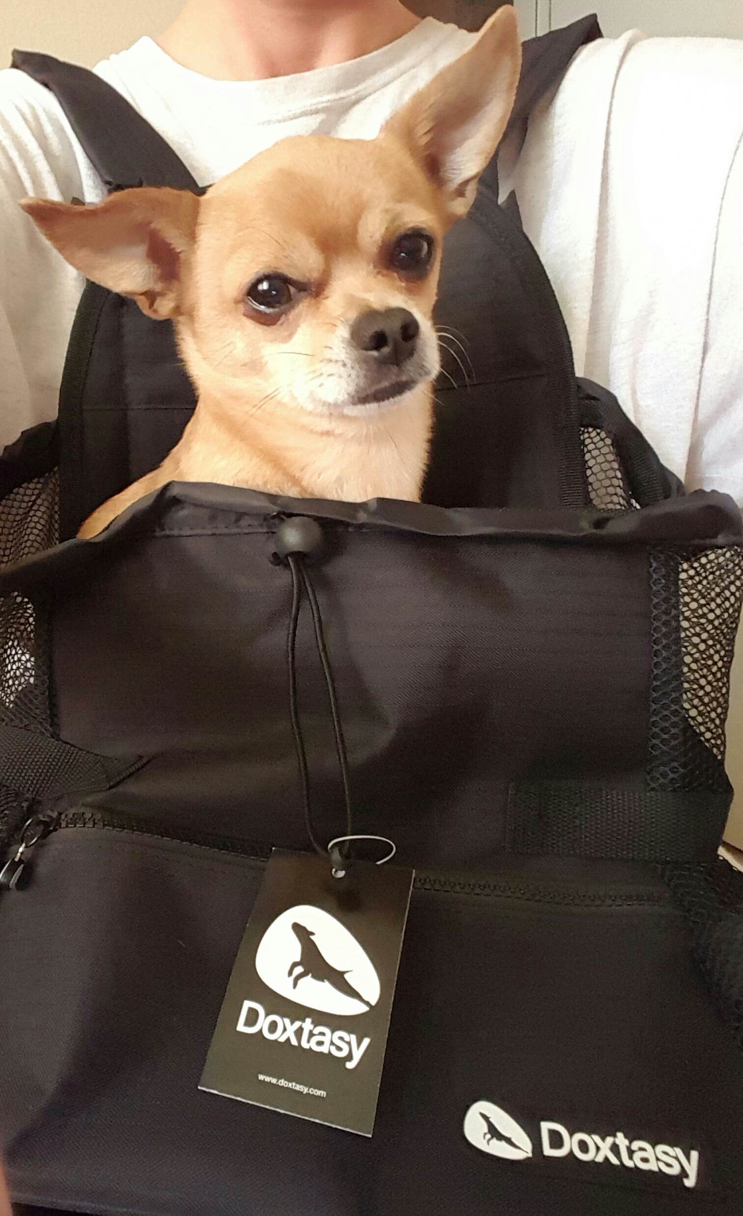 Front Carrier met hond