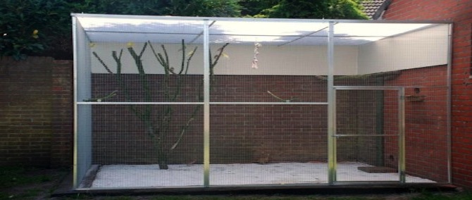 Voliere z achterwand en zijwand