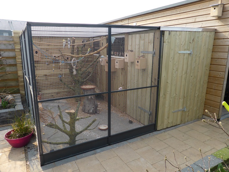 Voliere valkparkieten